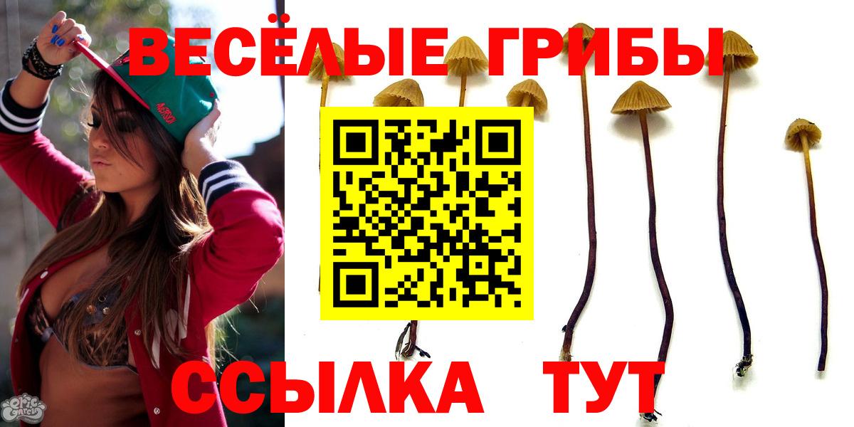 Галлюциногенные грибы прущие грибы  Вход с VPN  Аргун 